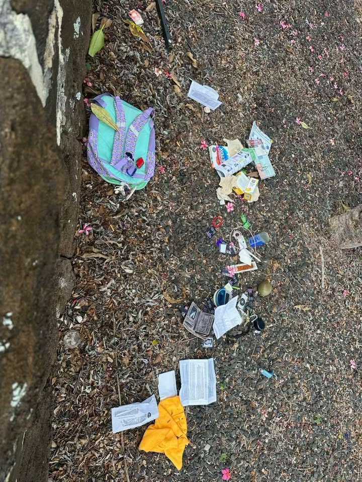 FOUND ITEM - Prospect Street, Honolulu | Stolen Stuff Hawaii