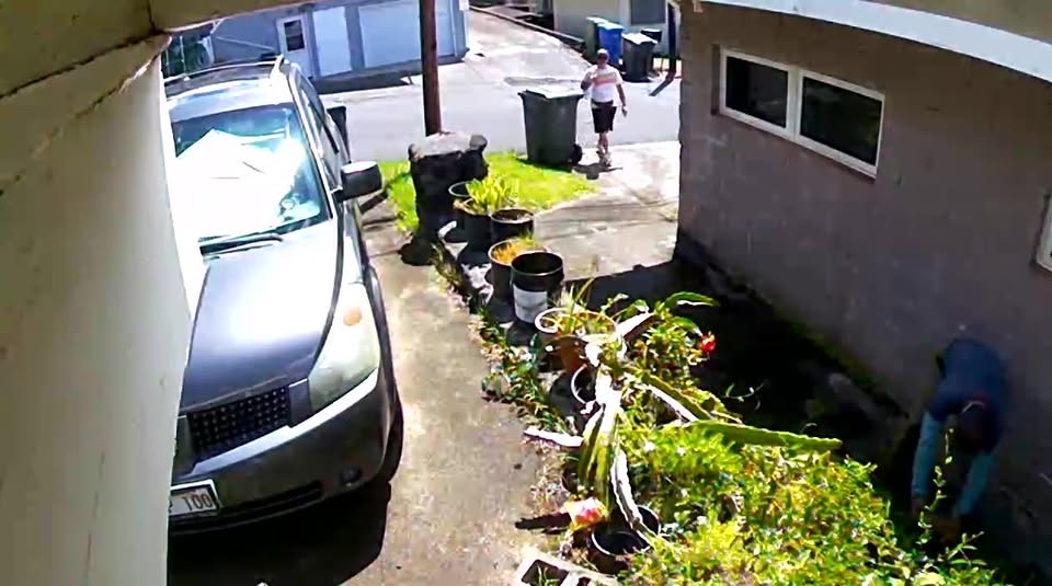 THEFT - Pu'unui area, Honolulu, Oahu | Stolen Stuff Hawaii