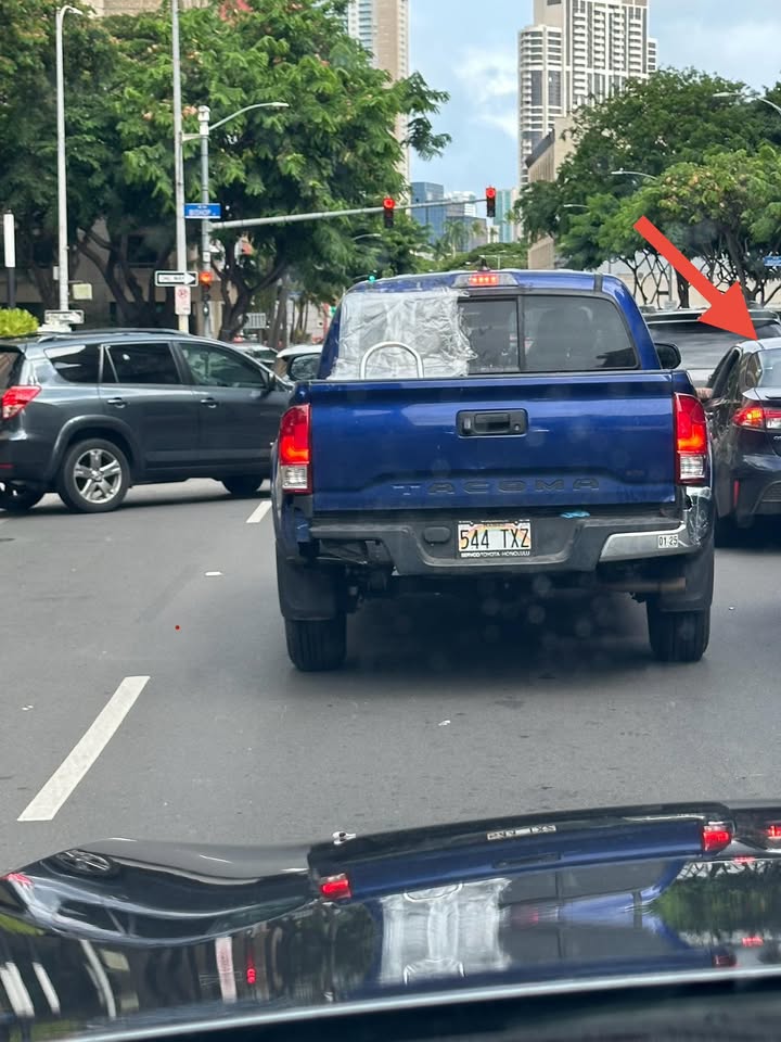 HIT AND RUN - King and Bishop, Honolulu | Stolen Stuff Hawaii