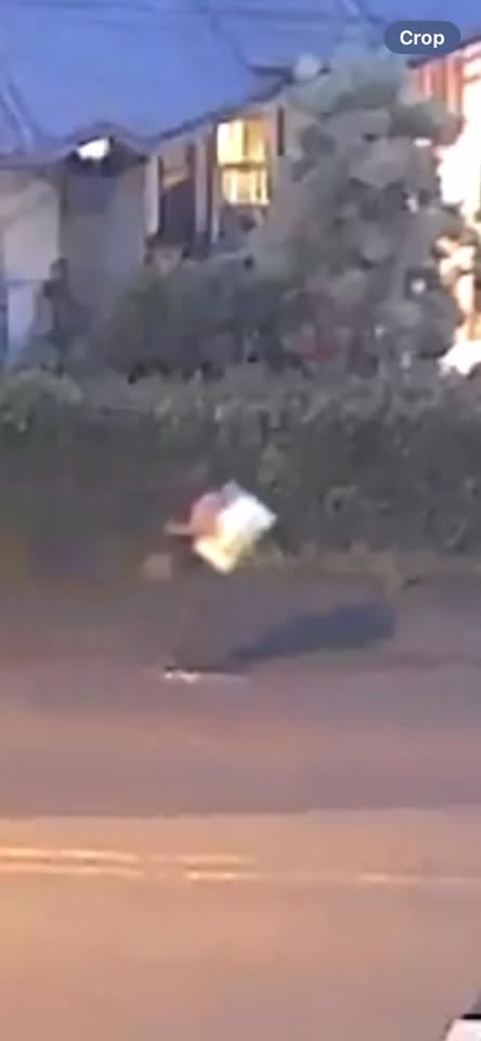 BURGLARY - 2148 Hillcrest Street, Kapalama Heights, Honolulu | Stolen Stuff Hawaii