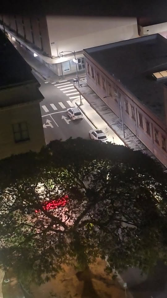COMMUNITY DISCUSSION - Chinatown, Honolulu | Stolen Stuff Hawaii