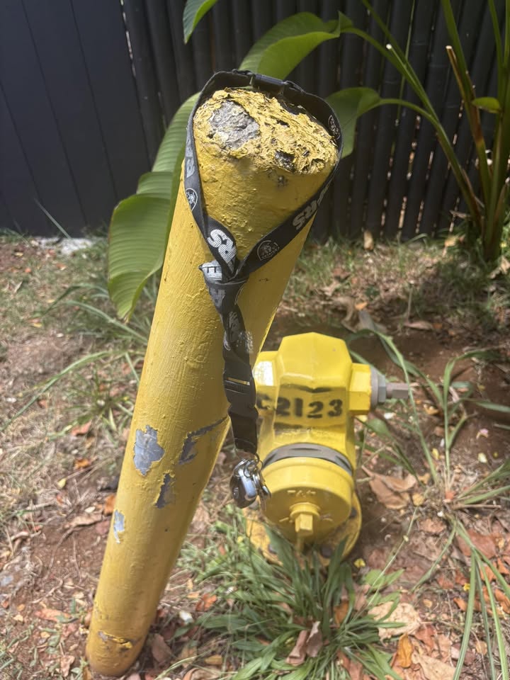 LOST ITEM - Hawaii | Stolen Stuff Hawaii