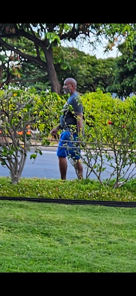 ASSAULT - Ala Moana Blvd in front of the courthouse, Downtown, Honolulu | Stolen Stuff Hawaii
