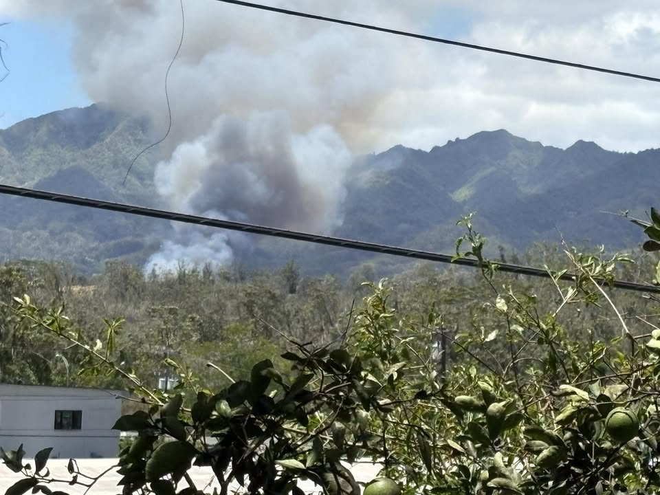 WILDFIRE - Waipio Acres, Oahu | Stolen Stuff Hawaii
