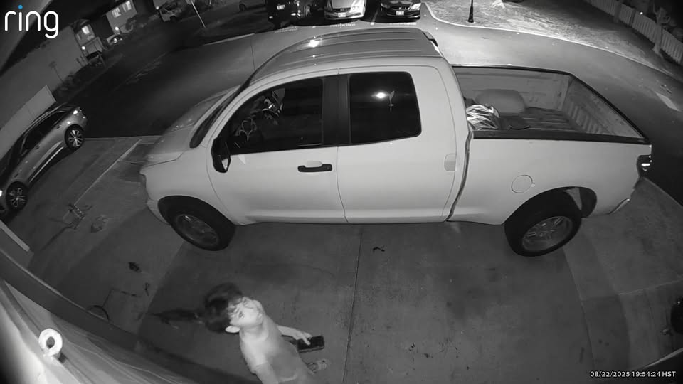 FOUND PET - Alii Cove, Ewa Gentry | Stolen Stuff Hawaii