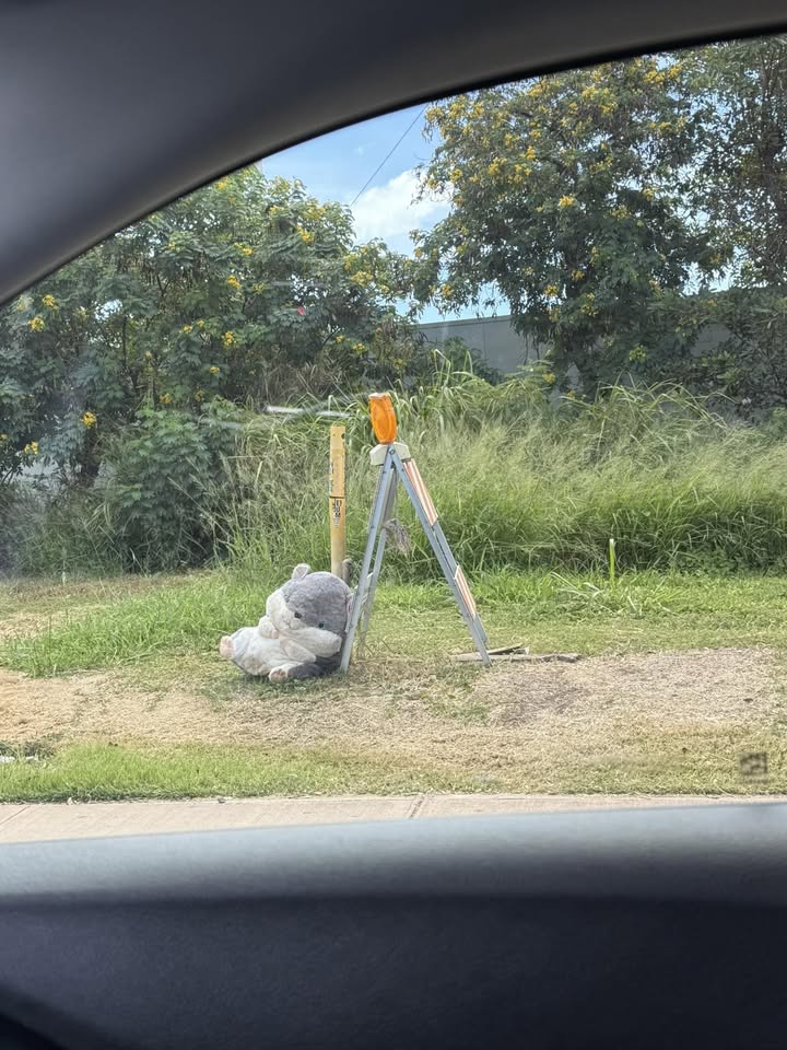 HUMOR - Hawaii | Stolen Stuff Hawaii