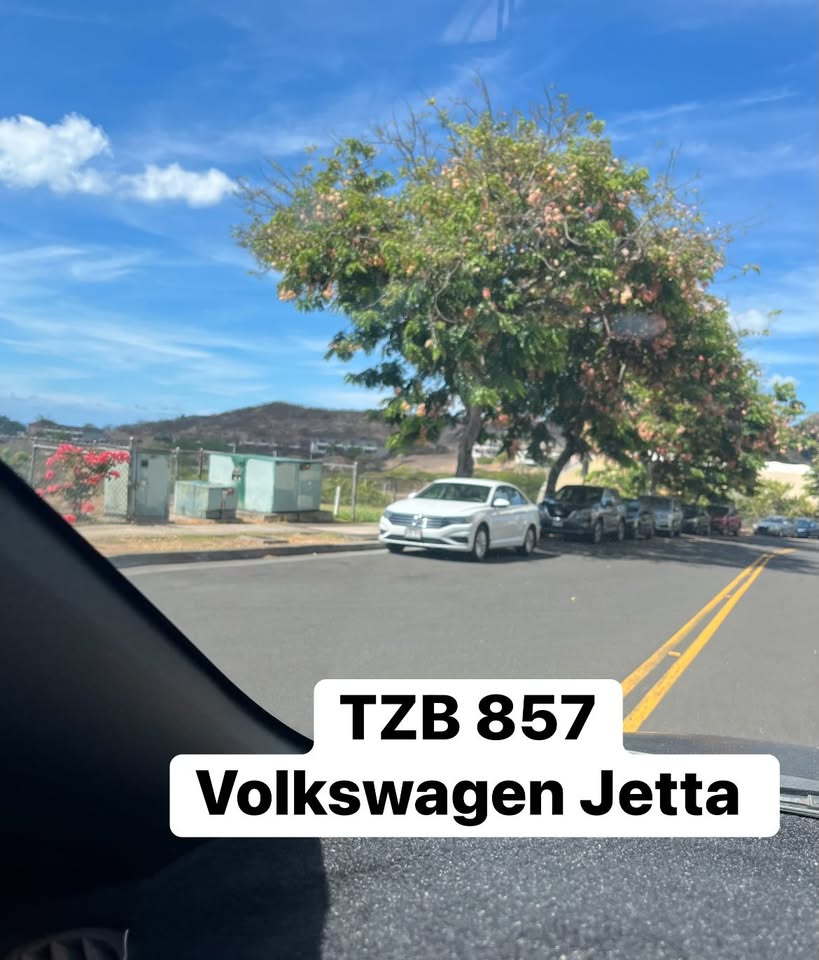 CRIMINAL PROPERTY DAMAGE - Salt Lake, near Kaiser, Honolulu | Stolen Stuff Hawaii