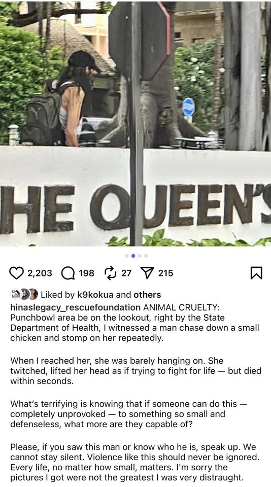 AWARENESS - Hawaii | Stolen Stuff Hawaii