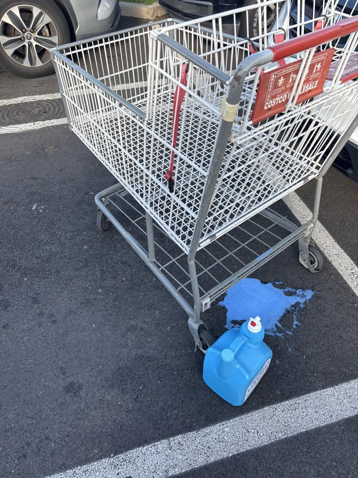 FOUND ITEM - Costco Iwilei, Honolulu, Oahu | Stolen Stuff Hawaii