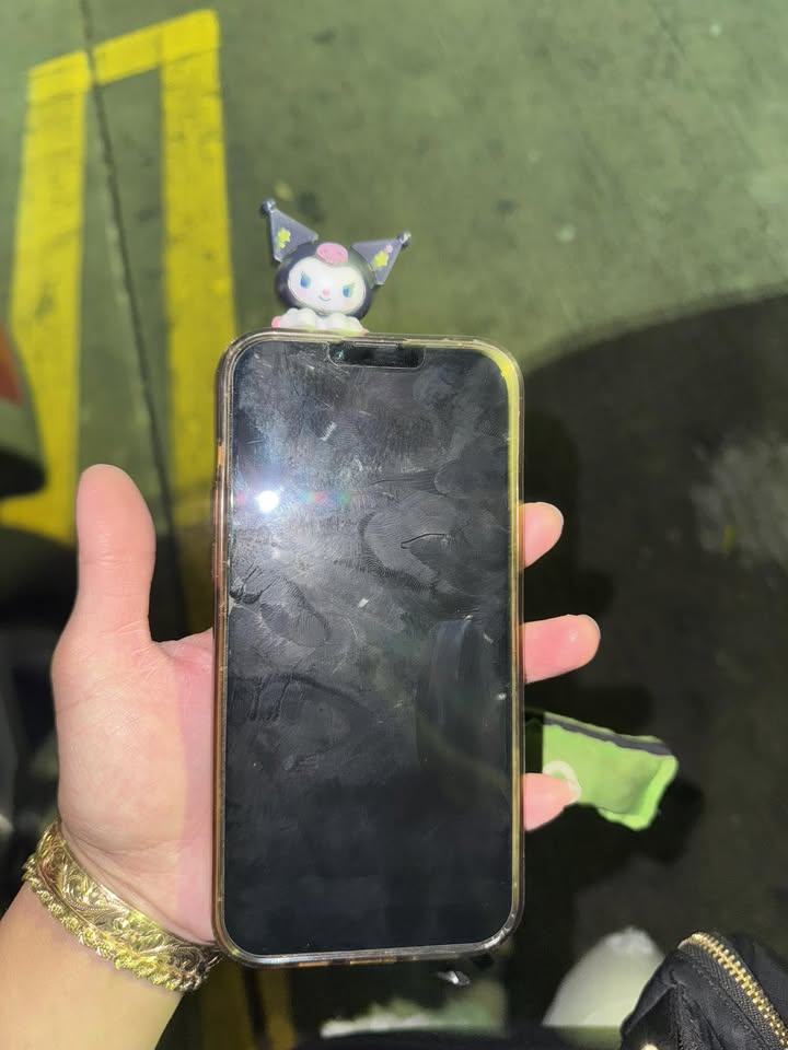 FOUND ITEM - Sam’s Club Ke'eamoku parking lot, Honolulu | Stolen Stuff Hawaii