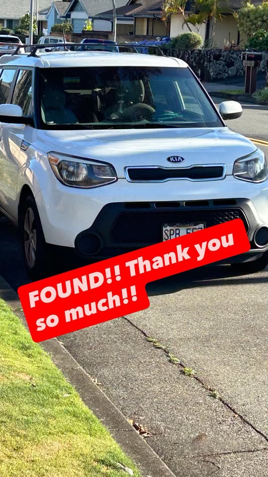 FOUND PET - Hawaii | Stolen Stuff Hawaii