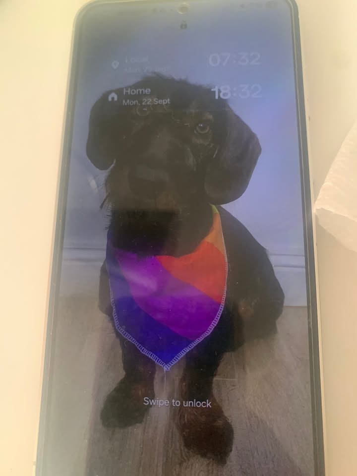 FOUND ITEM - Waikiki, Honolulu, Oahu | Stolen Stuff Hawaii