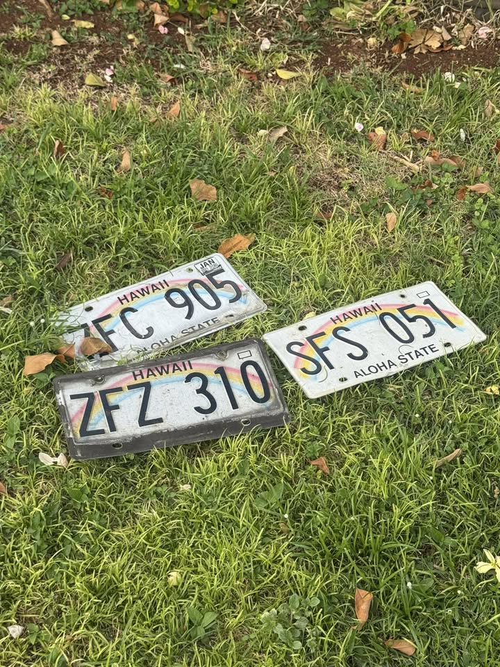 FOUND ITEM - Costco Kapolei, Kapolei, Oahu | Stolen Stuff Hawaii