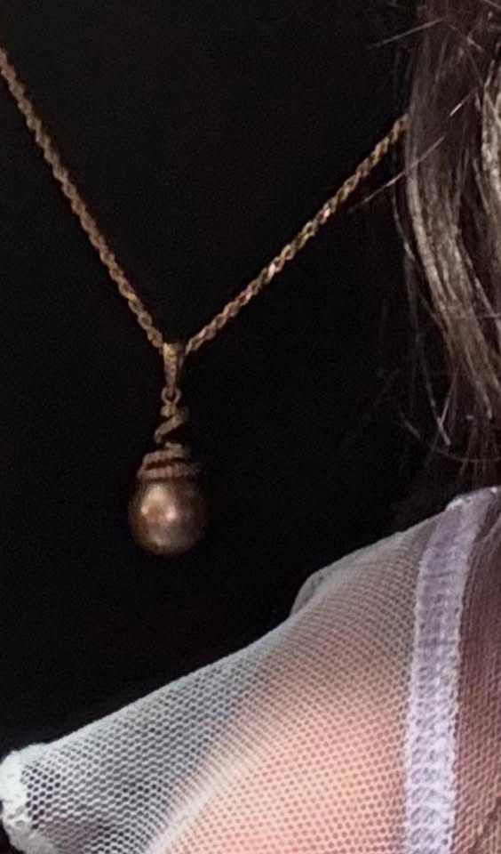 LOST ITEM - Magic Island, Waikiki, Oahu | Stolen Stuff Hawaii