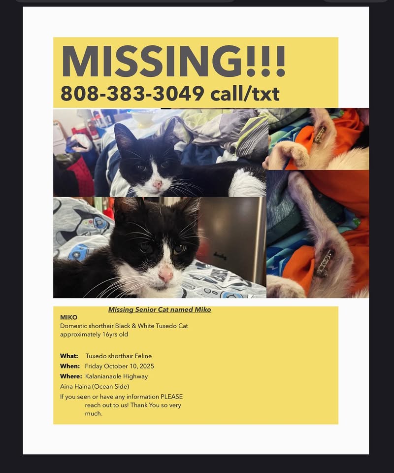 LOST PET - Aina Haina Shopping Center, Kalanianaole Hwy, Honolulu, Oahu | Stolen Stuff Hawaii