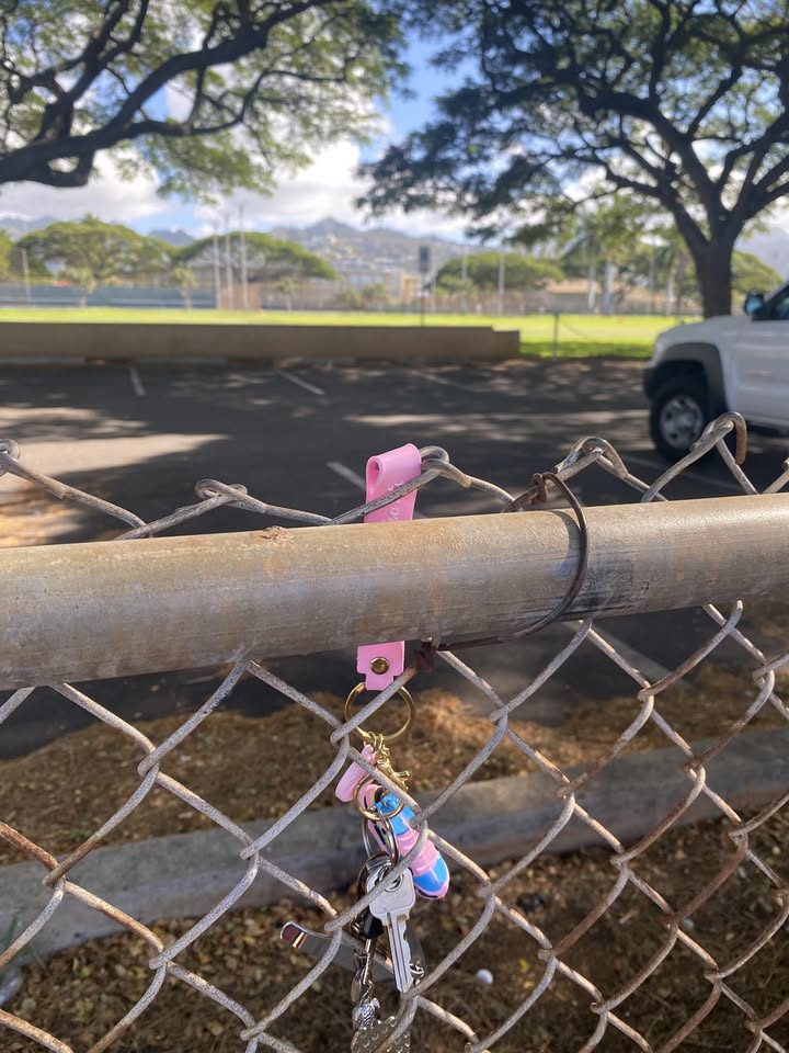 FOUND ITEM - Hawaii | Stolen Stuff Hawaii