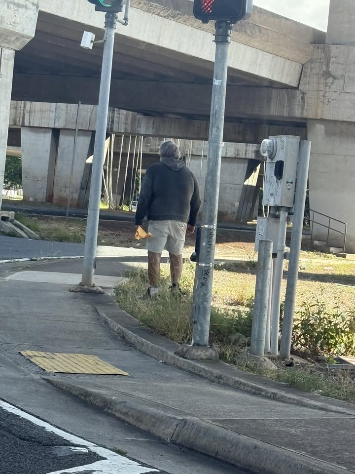 CRIMINAL PROPERTY DAMAGE - Nimitz by Dunkin’ Donuts, Honolulu, Oahu | Stolen Stuff Hawaii