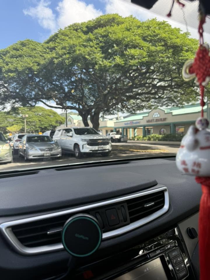 HIT AND RUN - Windward City, Kaneohe, Oahu | Stolen Stuff Hawaii