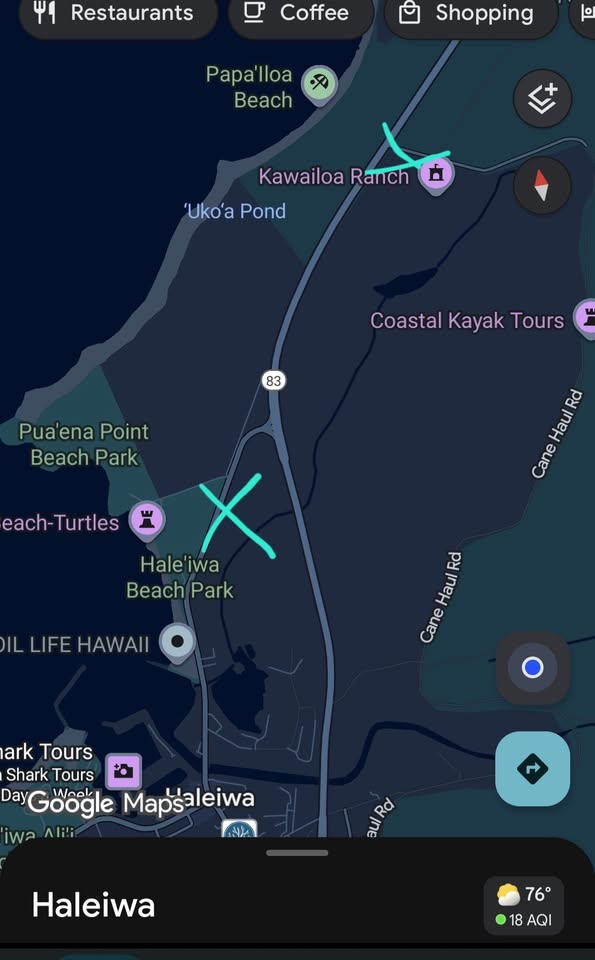 ANIMAL SIGHTING - Haleiwa, Oahu | Stolen Stuff Hawaii