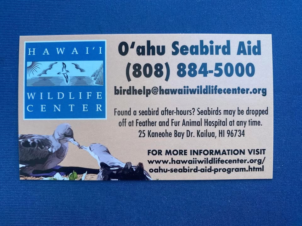 AWARENESS - Feather n Fur Animal Hospital, Kailua, Oahu | Stolen Stuff Hawaii