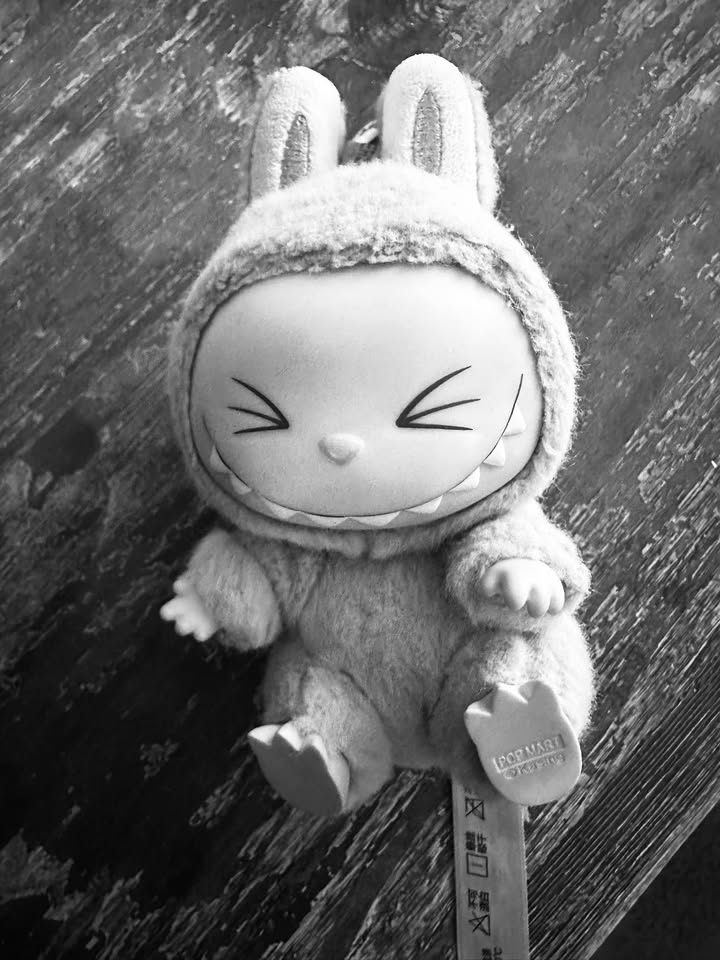 FOUND ITEM - Hawaii | Stolen Stuff Hawaii