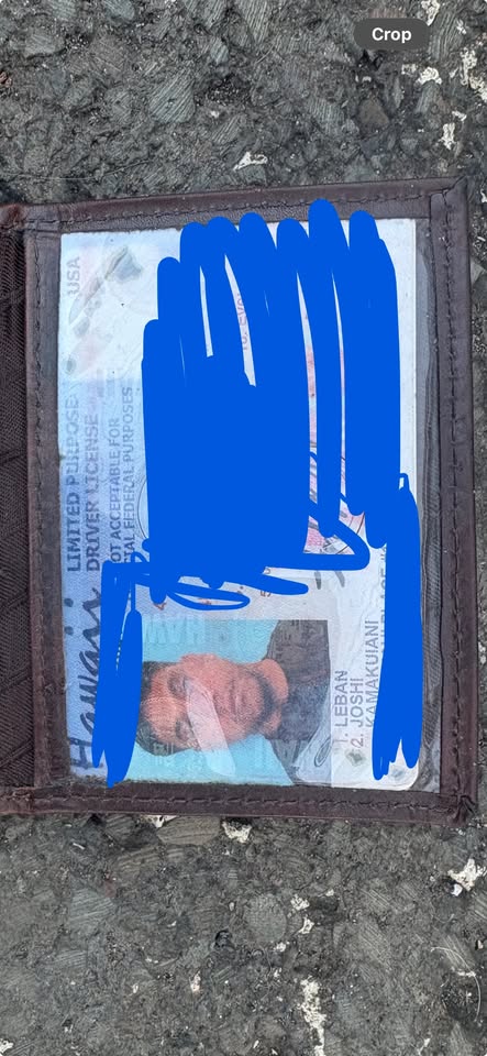 FOUND ITEM - Pets in the city, Hopaka Street, Honolulu | Stolen Stuff Hawaii
