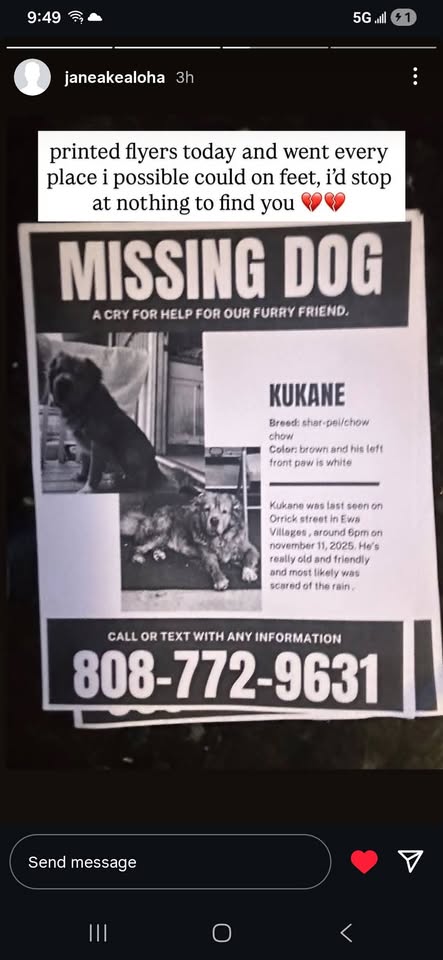 LOST PET - Ewa Beach, Oahu | Stolen Stuff Hawaii