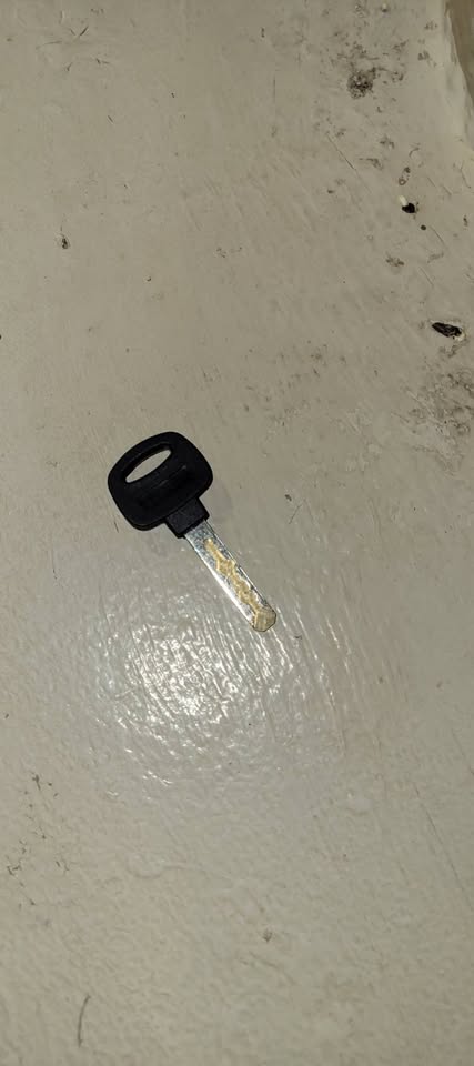 FOUND ITEM - Manoa Ave. | Stolen Stuff Hawaii