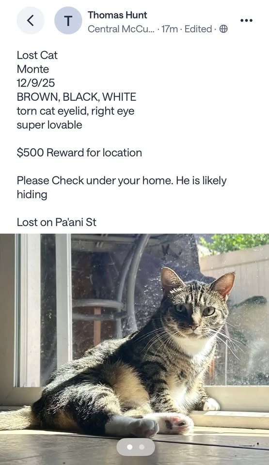LOST PET - Pa'ani Street, Ewa Beach | Stolen Stuff Hawaii