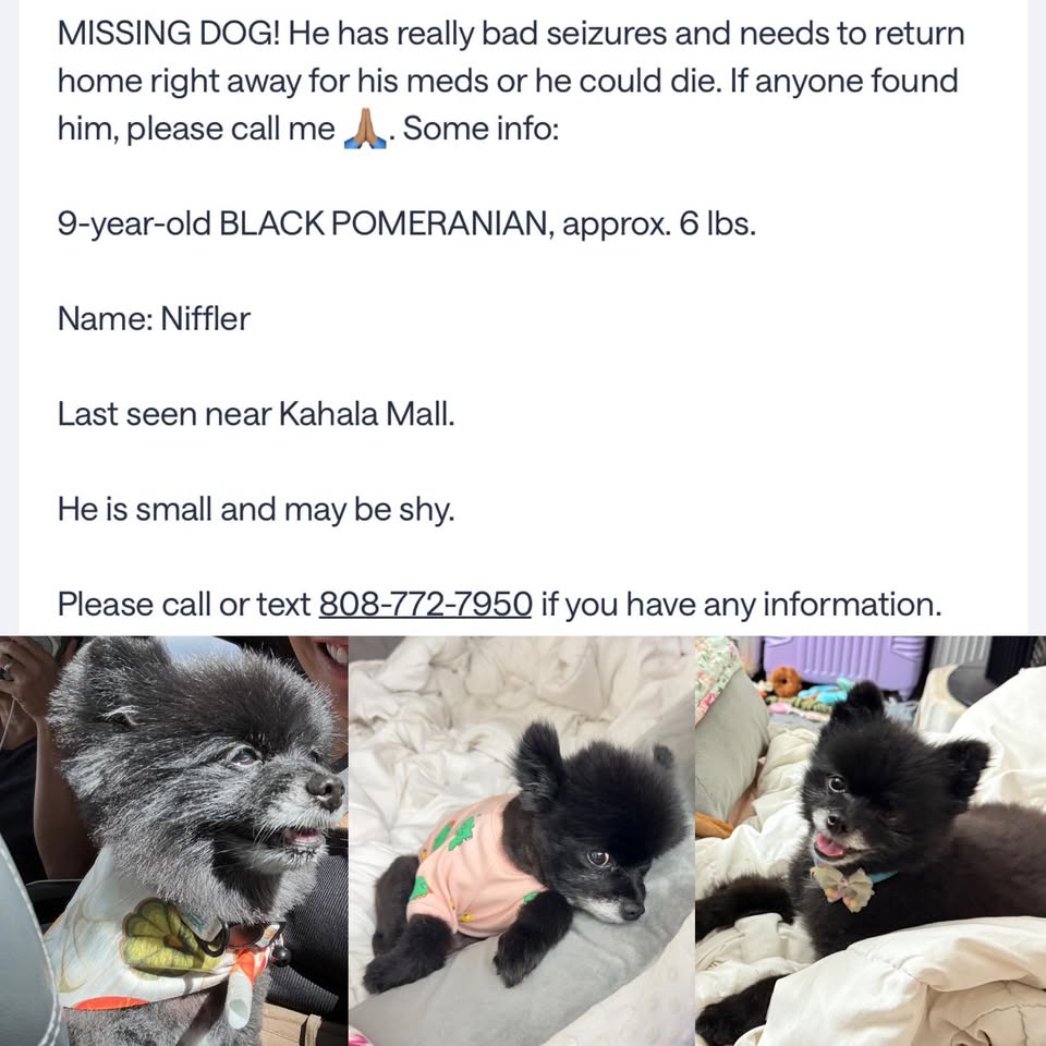 HELP NEEDED - Unknown | Stolen Stuff Hawaii
