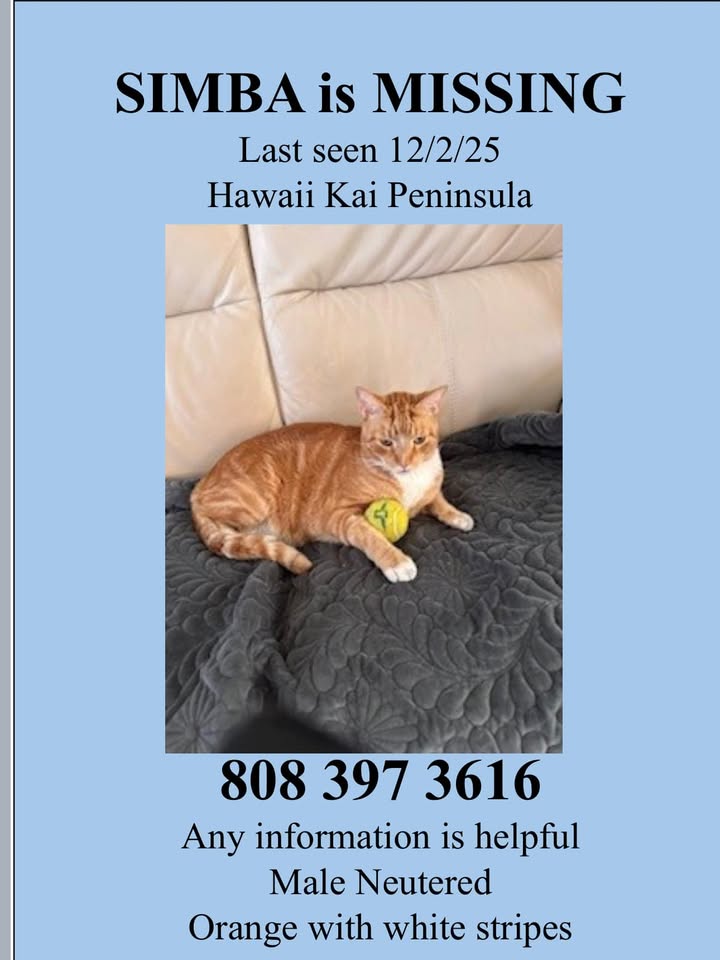 LOST PET - Unknown | Stolen Stuff Hawaii