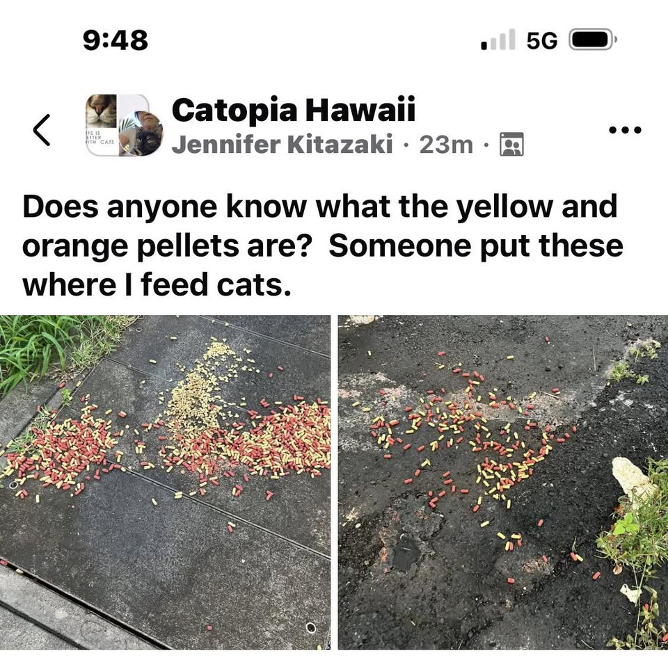 ANIMAL ABUSE - Unknown | Stolen Stuff Hawaii