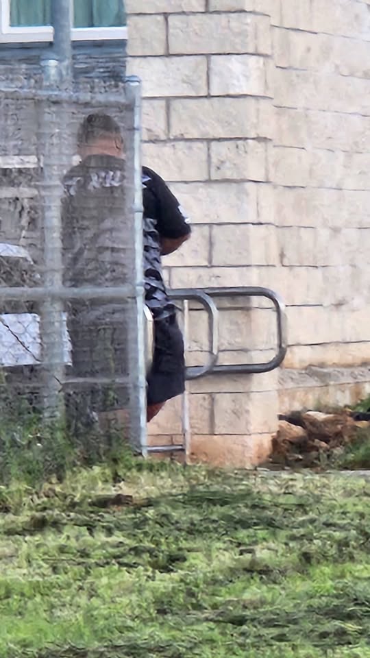 ANIMAL ABUSE - Unknown | Stolen Stuff Hawaii