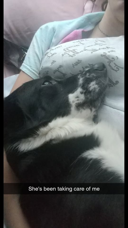 LOST PET - Unknown | Stolen Stuff Hawaii