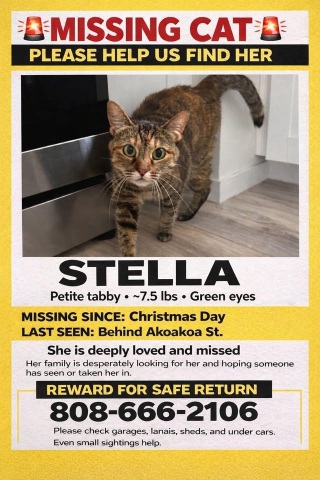 LOST PET - Kailua, Oʻahu | Stolen Stuff Hawaii
