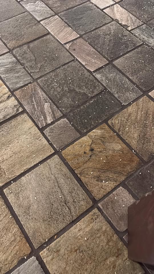 ANIMAL SIGHTING - Unknown | Stolen Stuff Hawaii