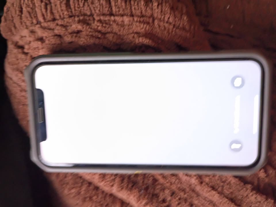 FOUND ITEM - Ma'ili Surfing Beach, between 711 and 76 | Stolen Stuff Hawaii
