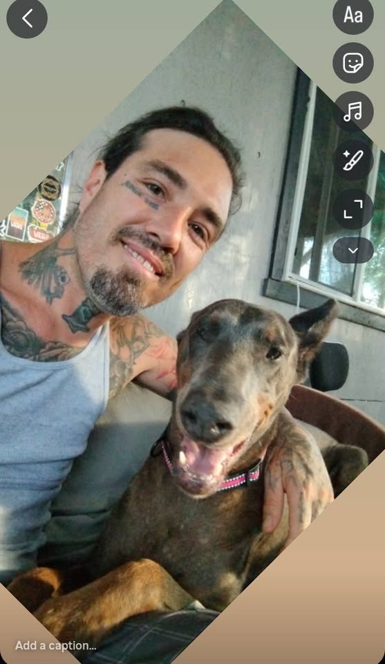LOST PET - TIKI GARDENS AINALOA | Stolen Stuff Hawaii