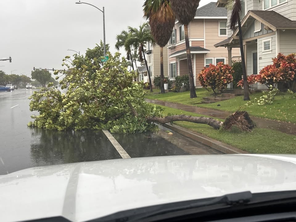 TRAFFIC - Kapolei before Keoneula Blvd | Stolen Stuff Hawaii