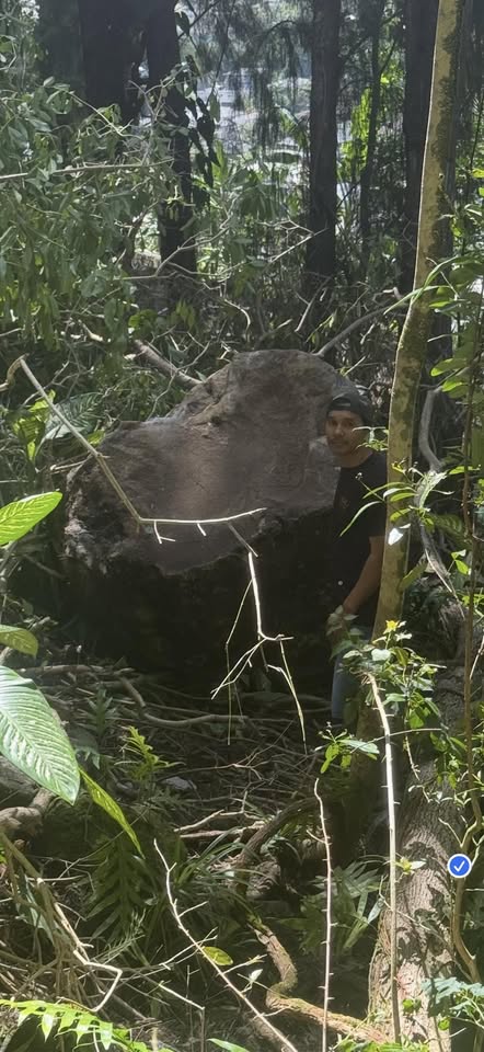 HELP NEEDED - Unknown | Stolen Stuff Hawaii