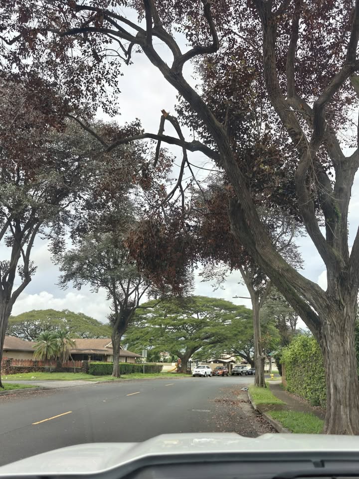 TRAFFIC - Holaniali'i Street, Mililani | Stolen Stuff Hawaii