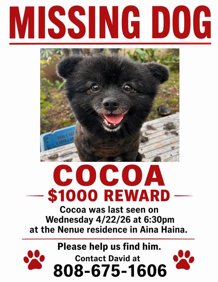 LOST PET - Unknown | Stolen Stuff Hawaii