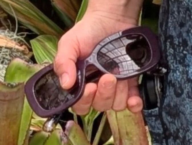 LOST ITEM - Foster Botanical Garden, Honolulu, Oahu | Stolen Stuff Hawaii