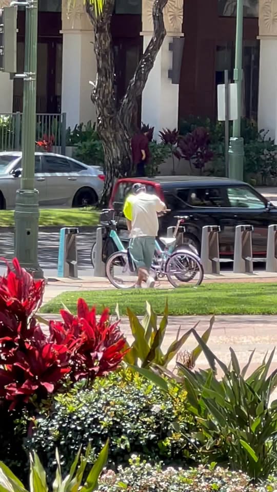 THEFT - McCully Street, Waikiki, Honolulu | Stolen Stuff Hawaii