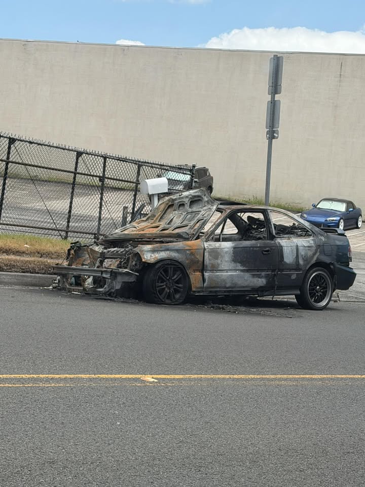 ANIMAL SIGHTING - Halawa Industrial, Aiea, Oahu | Stolen Stuff Hawaii