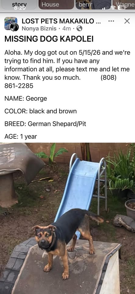 MISSING PERSON - Kapolei | Stolen Stuff Hawaii