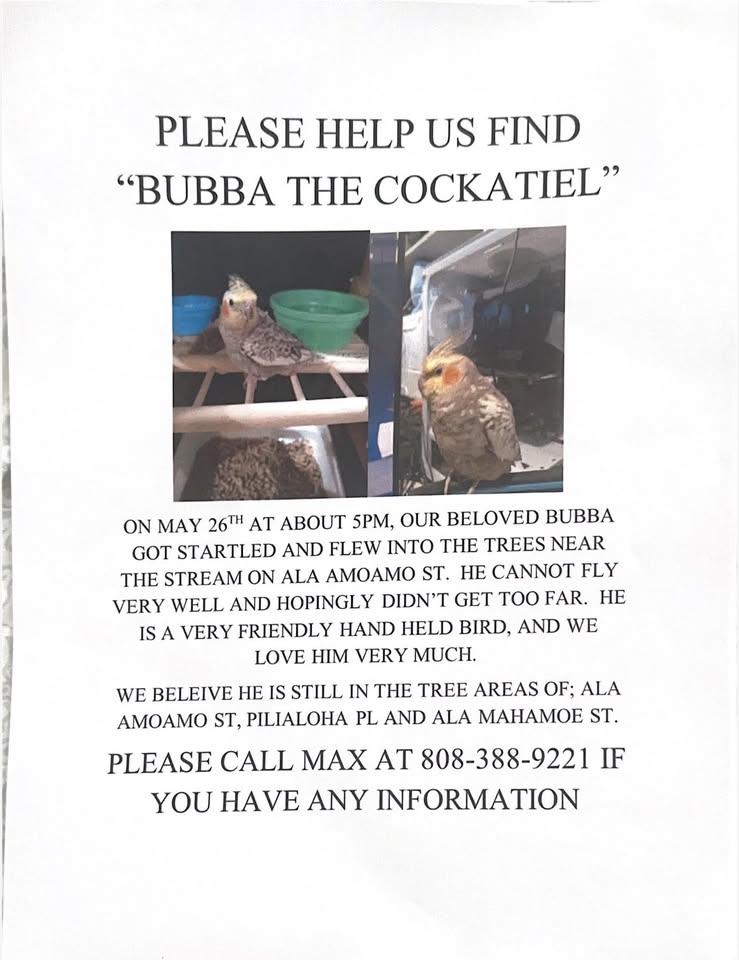 LOST PET - Moanalua Gardens, Honolulu, Oahu | Stolen Stuff Hawaii