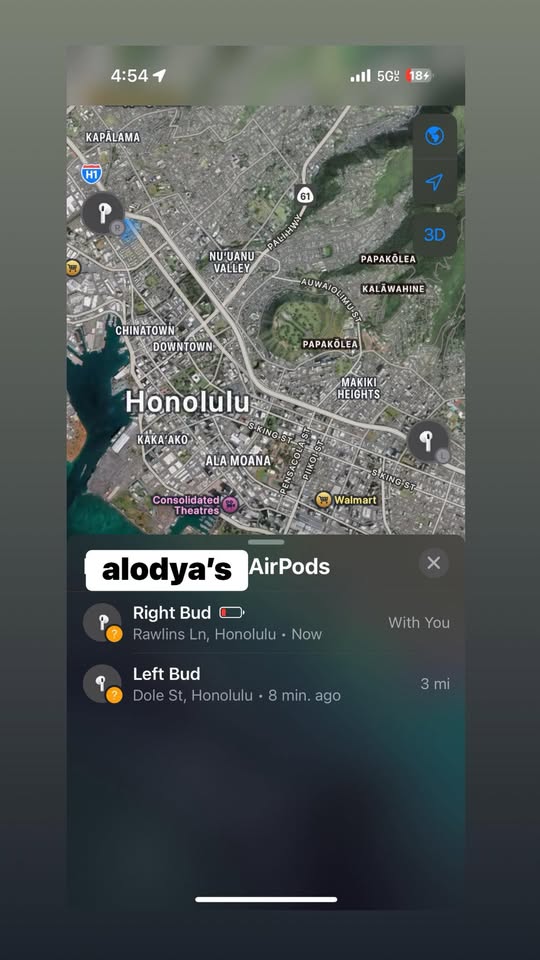 LOST ITEM - Unknown | Stolen Stuff Hawaii