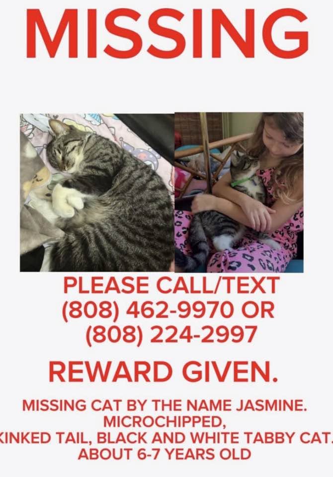 LOST PET - Unknown | Stolen Stuff Hawaii