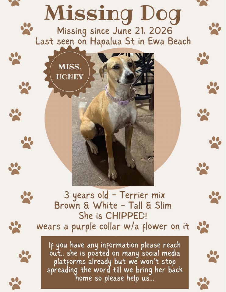 LOST PET - Unknown | Stolen Stuff Hawaii